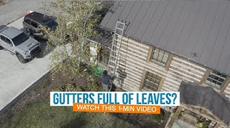 gutter cleaning